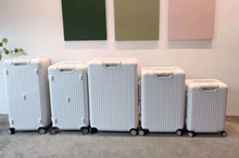 Load image into Gallery viewer, ESSENTIAL CHECK-IN M 60L (GLOSS WHITE)