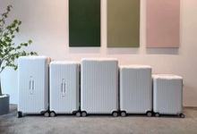 Load image into Gallery viewer, ESSENTIAL CHECK-IN M 60L (GLOSS WHITE)