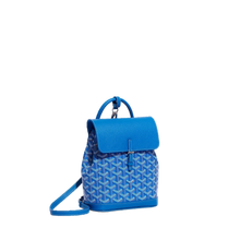 Load image into Gallery viewer, ALPIN MINI (BLUE)